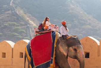 Ausländische Besucher genießen einen Elefantenritt im Amber Fort in Rajasthan. In königliche Farben gekleidete Elefanten transportieren die Besucher einen steilen Abhang hinauf zum Eingang des Forts, das auf einer Hügelkuppe außerhalb von Jaipur, der “pinken Stadt“, liegt.