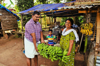 Menschen verkaufen Bananen auf dem örtlichen Basar in Kochi (Cochin), Kerala – Foto von Dmytro Gilitukha
