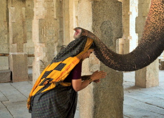 Rituelle Segnung einer Hindufrau durch einen Elefanten, der die Gottheit Ganesha symbolisiert – Foto von PacoRomero
