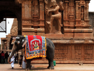 Ein geschmückte Elefant steht am Tor des Tempels und begrüßt die Besucher des Brihadeshwara-Tempels in Thanjavur.