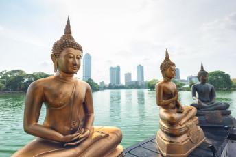 Buddha-Statuen im Seema Malaka-Tempel in der Hauptstadt Colombo. Der Tempel wird hauptsächlich zum Ausruhen und Meditieren genutzt und dient weniger dem Gebet © PhilipYb Studio