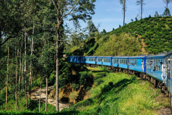 Die Zugfahrt von Nuwara Eliya nach Kandy führt den Besucher durch die wunderschöne Hochlandlandschaft Sri Lankas. Sie ist als eine der