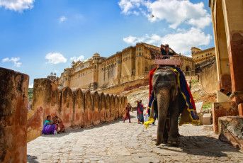 Einer der farbenfroh gekleideten Elefanten, auf denen viele Touristen gerne zum Eingang des Amer Fort in Jaipur, Rajasthan, reiten - Foto von Olena Tur