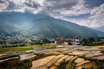 Reisfelder bedecken das Gebiet oberhalb des Thimphu Dzong, der Festung der Glückslehre. Etwa 28% der Anbauflächen in Bhutan werden für den Reisanbau genutzt.