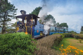 Die berühmte DHR-Spielzeugeisenbahn fährt seit Ende des 19. Jahrhunderts auf Gleisen mit einer Spurweite von 60cm. Der Zug muss von New Jalpaiguri, auf 100m Höhe, bis auf 2 200m Höhe in Darjeeling klettern. Um diese Höhe zu erreichen, nimmt er 6 Serpentinen und 5 Schleifen. Er hat den Status des Weltkulturerbes von der UNESCO erhalten © Gnomeandi