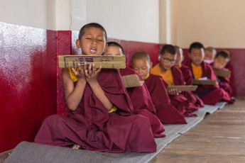 Junge angehende Mönche beim Unterricht im Tsuglakhang-Kloster in Gangtok, Sikkim. Im Inneren des Komplexes befindet sich die kaiserliche Gompa der ehemaligen Königsfamilie von Sikkim © Aliaksandr Mazurkevich