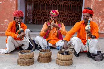 Drei Schlangenbeschwörer spielen auf ihren Pungis, aus Kürbissen gefertigten Instrumenten, um Schlangen zu hypnotisieren. Da Schlangen kaum Töne wahrnehmen können, ist es nicht die Musik, sondern die Bewegungen, die der Schlangenbeschwörer mit seinem Pungi macht, die sie in ihren Bann ziehen, Agra © Eterovic / Shutterstock