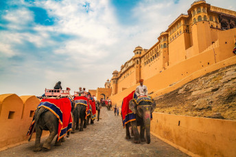 Touristen betreten das Amber Fort von Jaipur, ein UNESCO-Weltkulturerbe, auf dem Rücken von Elefanten, die mit bunten Stoffen und Dekorationen geschmückt sind, Rajasthan © Roop_Dey