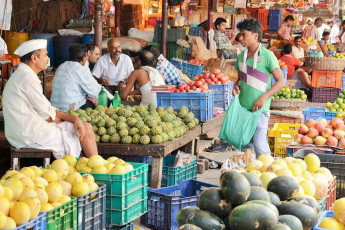 Der indische Händler verkauft in seinem Laden auf dem örtlichen Markt Ananas und andere exotische Früchte, Ahmedabad - Foto von rkl-foto
