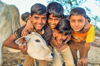 Jungs vom Stamm Rabari und Kalb. Die Rabari oder Rewari sind eine indische Gemeinschaft im Staat Gujarat - Foto von paul Prescott