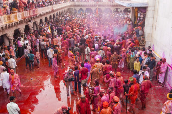 Die einheimische Bevölkerung und Touristen feiern zusammen das beliebteste Fest Indiens, Holi, bei dem buntes Pulver in der ganzen Stadt herumgeworfen wird. © CRS PHOTO / Shutterstock