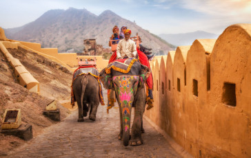 Auf der Straße zum Amer Fort in Jaipur, Rajasthan wandern Elefanten mit exotischem, indischem Schmuck, die Touristen auf ihrem Rücken tragen. © Roop_Dey / Shutterstock