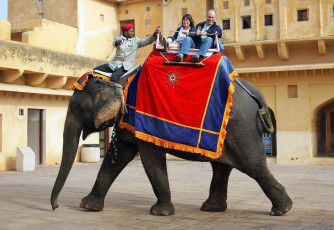 Geschmückter, laufender Elefant mit einem Reiter trägt Passagiere beim Amber Fort in Jaipur, Rajasthan - Foto von Moroz Nataliya