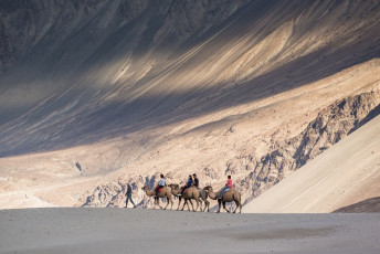 Touristen reiten Kamele im Dorf Hunder im Nubra-Tal, Ladakh, Jammu und Kashmir, Indien – Foto von Annop Itsarayoungyuen