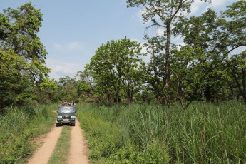Ein Jeep voller Touristen fährt im Chitwan-Nationalpark auf der Suche nach wilden Tieren umher. Der Park bietet eine Reihe von Aktivitäten wie Elefantensafaris, Wanderungen und Bootsfahrten © Socha