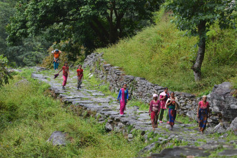 Gurung-Frauen aus dem Dorf Ghandruk gehen auf ihrem Weg zur Arbeit einen Steinweg entlang. Dieses Bergvolk bildet die größte ethnische Gruppe im Himalaya-Gebirge und bezeichnet sich selbst als Tamu © salajean
