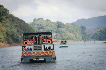 Um all die Tiere des Periyar-Tiger-Reservats in Kerala zu sehen zu können, nehmen Touristen an einer Bootssafari teil © Alexandra Lande
