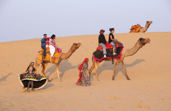 Rajasthanische Tänzerinnen und Tänzer in traditioneller Kleidung treten in der Wüste Thar für Touristen mit Kamelen auf. Dies ist die am dichtesten besiedelte Wüste der Welt. Die Einheimischen der Thar-Wüste pflegen eine farbenfrohe und reichhaltige Tradition mit einer Leidenschaft für Volksmusik und Poesie.