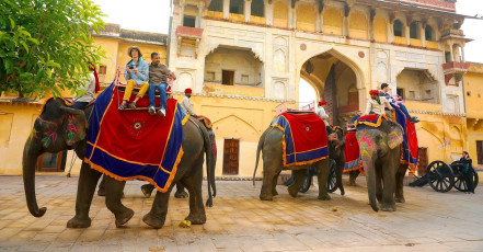 Geschmückte Elefanten transportieren Passagiere durch das Tor beim Amber Fort in Jaipur - Foto von Moroz Natalia