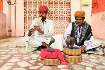 Schlangenbeschwörer treten vor dem Palast Hawa Mahal in Jaipur, Rajasthan, auf. Schlangenbeschwörung ist eine Volkskunst, die in vielen Teilen Indiens vollzogen wird – Foto von AJP