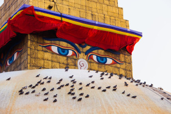 Eine große Anzahl von Vögeln ruht auf der Boudhanath-Stupa, einer der Hauptattraktionen in Kathmandu, Nepal. Die Stupa ist eine anerkannte UNESCO-Weltkulturerbestätte ©cybervelvet