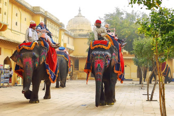 Elefantenritt im Amber Fort, Jaipur - Foto von Moroz Nataliya