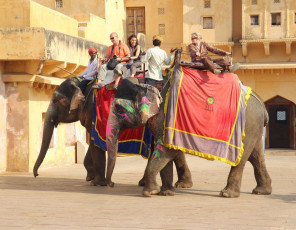 Touristen genießen den Elefantenritt beim Amber Fort, Jaipur - Foto von Kokhanchikov