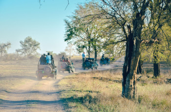 Touristen auf einer Jeep-Safari. Naturführer begleiten die Besucher, um Informationen über die Flora und Fauna der Gegend zu geben.