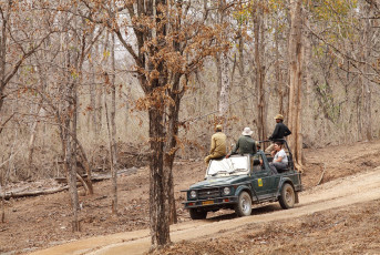 Touristen auf einer Safari halten Ausschau nach Tigern. Der Pench-Nationalpark im Distrikt Seoni in Madhya Pradesh ist bekannt für seine bengalischen Tiger.