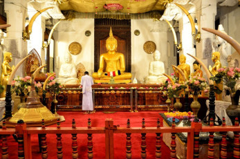 Ein Gläubiger betet im Inneren des Tempels “Sacred Tooth Relic” in Kandy. Dieser Ort befindet sich im ehemaligen Königspalastkomplex und ist für Buddhisten aus aller Welt von großer Bedeutung © alxpin