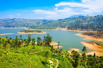 Der Maussakelle Stausee, bzw. “Maskeliya Dam Lake” mit terrassenförmig angelegten Teeplantagen, auf denen der Großteil des Tees in Sri Lanka produziert wird. Im Jahr 2020 war das Land der zweitgrößte Exporteur von Tee weltweit © saiko3p