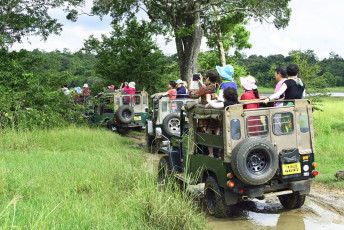 Besucher, die während einer Jeep-Safari im Minneriya-Nationalpark, Sri Lanka, nach Wildtieren Ausschau halten © Fmajor