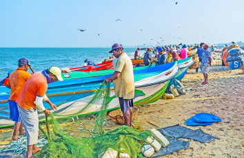 Fischer lösen nach ihrem morgendlichen Fang an einem Traumstrand in Sri Lanka die Fische aus den Netzen © Efesenko