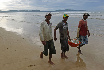 Fischer tragen einen Korb mit Sardinen an einem der traumhaften Strände Sri Lankas © Ertyo 5