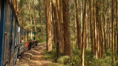 Eisenbahn in Ooty, Indien auf dem Nilgiri Mountain Railway. © chrisontour84 / Shutterstock