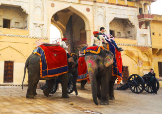 Geschmückte Elefanten mit Reitern tragen Passagiere durch das Tor im Amber Fort in Jaipur - Foto von Moroz Nataliya