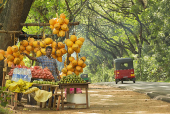 Ein Obstverkäufer stellt seine frischen Produkte am Straßenrand aus. Aufgrund des unterschiedlichen Klimas und der Höhenlage wird in Sri Lanka eine große Vielfalt an Obst angebaut, darunter Papaya, Wassermelone, Ananas und Mango © Tunart
