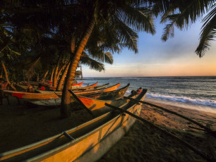 Ein malerischer Sonnenuntergang mit Fischerbooten am Strand von Mirissa. Thunfisch, Schlegel, Schnapper und Butterfisch sind in diesen Gewässern weit verbreitet © Davorlovinic