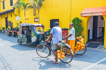 Kokosnussverkäufer auf ihren Fahrrädern in den Straßen von Galle, einer alten Festungsstadt in Sri Lanka, die für ihre Mischung aus portugiesischer und einheimischer Architektur bekannt ist - Foto von Efesemko