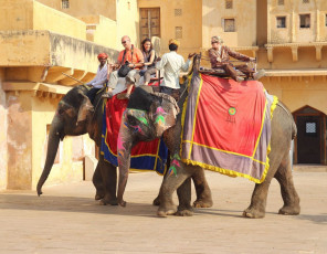 Touristen genießen den Elefantenritt im Fort Amber, Jaipur - Foto von Kokhanchikov