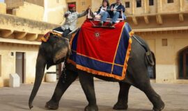 Individuelle Rajasthan Reise – 10 Tage Rundreise – Taj Mahal, Alt-Delhi, Tiger Nationalpark, Tempel, Forts & Paläste