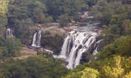 Thoovanam Waterfalls Trekking im Chinnar Wildlife Schutzgebiet, Munnar