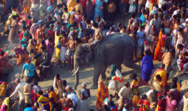 LUST UND LEIDENSCHAFT AUF DEM SONEPUR JAHRMARKT