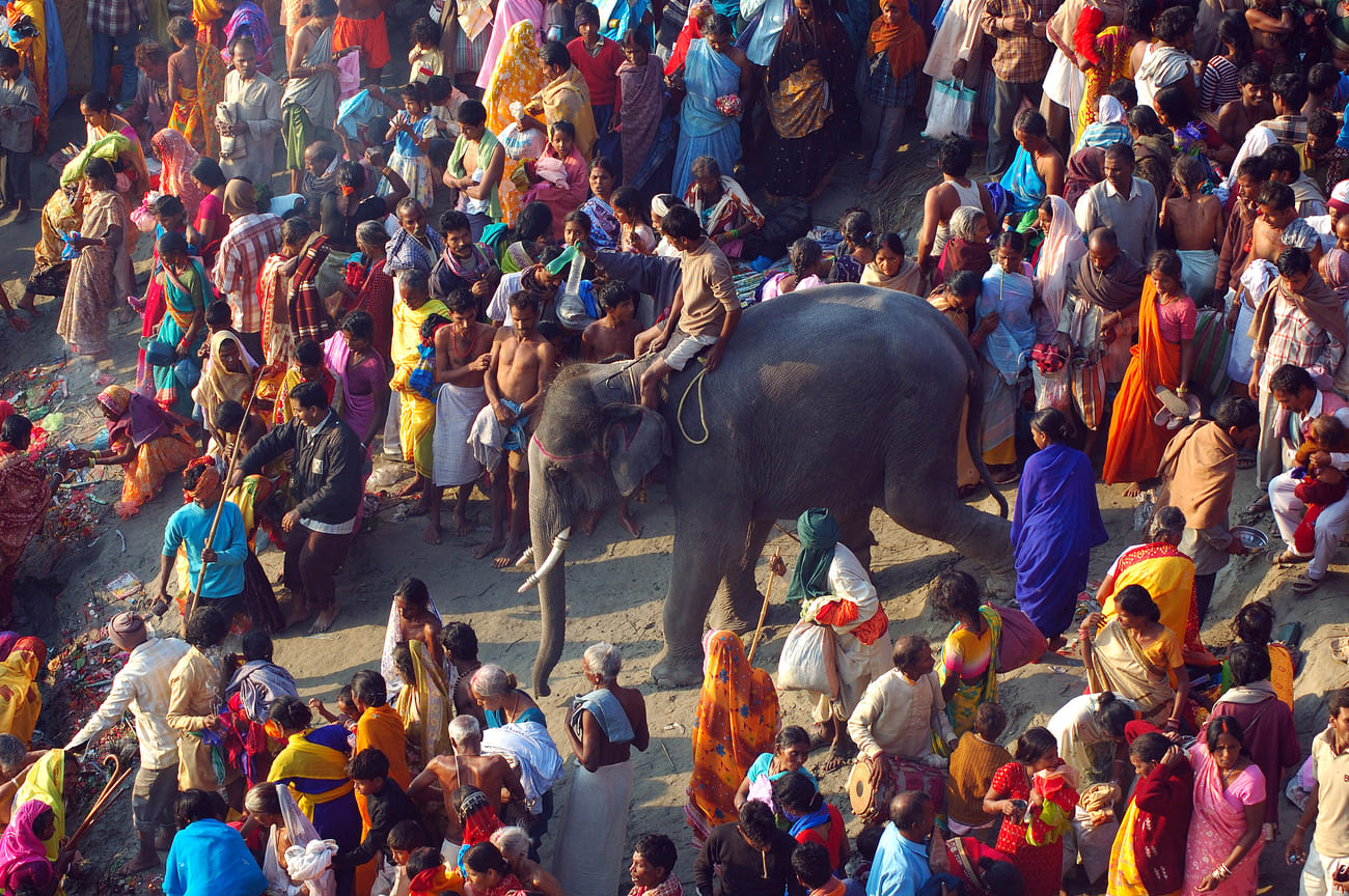 Elefant erster in den Ganges geht