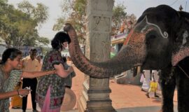 21 tägigen Urlaub in Südindien – Von Koromandel bis Malabar