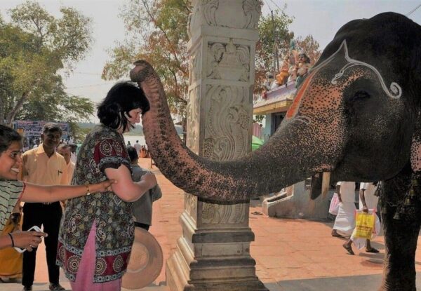 21 tägigen Urlaub in Südindien – Von Koromandel bis Malabar