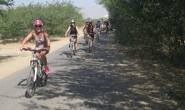 Eine Ganztagsreise mit dem Fahrrad durch Jaipurs wunderschöne Landschaft. Entdecken Sie Rajasthans Bunte Dörfer und den Samode Palast