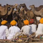 Kamelmesse in Pushkar, die größte der Welt