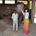 Elefant in Südindien tipps fuer erstreisen nach indien von monique hartmann