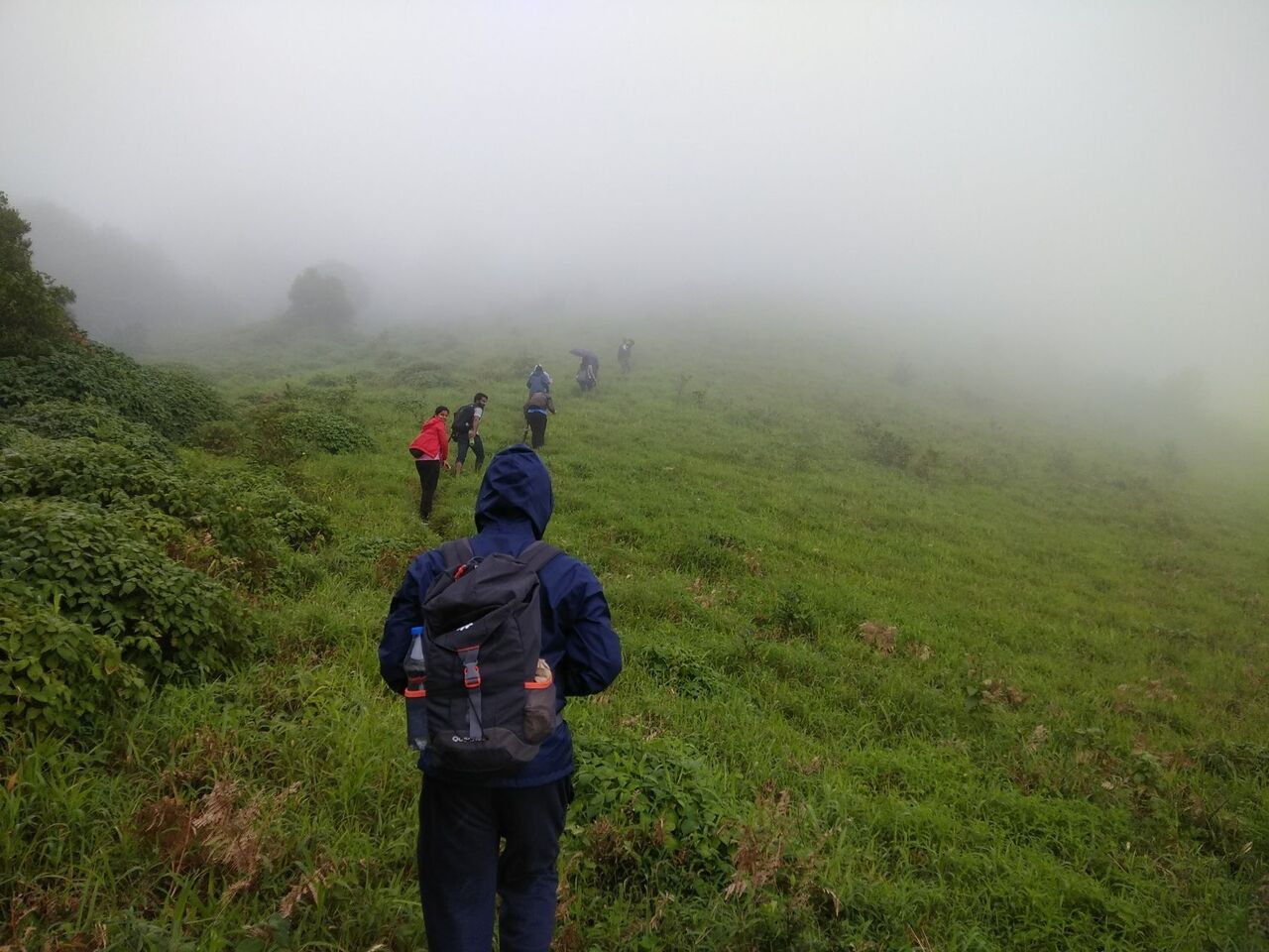 Nishani-Motte-Trekking in Coorg